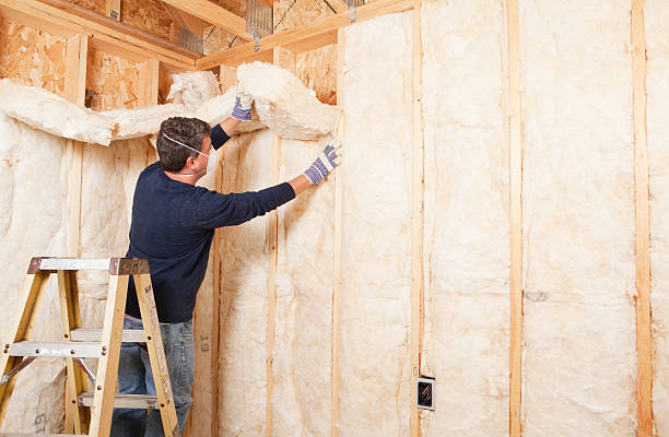 Best Blown-In Insulation  in Maypearl, TX